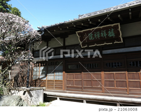 白梅が彩りを添える早春の麟祥院（本堂） 21063008