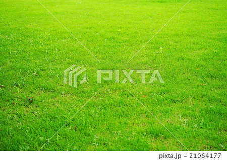 芝生の広場・春 21064177