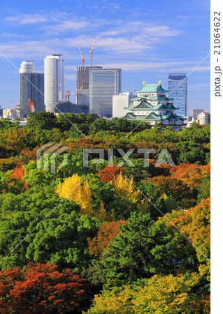 11月愛知 名古屋城・天守閣と名古屋駅周辺の高層ビル群 21064622