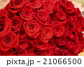 バラの花束 21066500