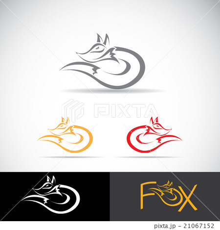 vector fox sign label or tattoo design. vector fox sign label or tattoo design. 21067152