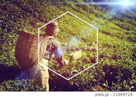 Hexagon Icon Frame Symbol Copy Space Concept Hexagon Icon Frame Symbol Copy Space Concept 21069728