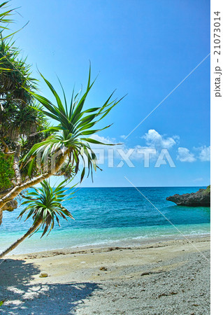 南国宮古島　アダンの木とプライベートビーチ 21073014