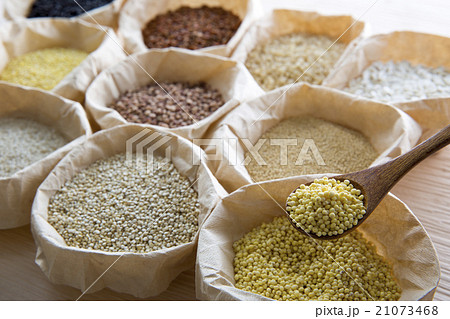 モチキビ モチキビ 21073468