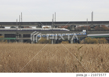 原市沼付近を走行するニューシャトルと上越新幹線 原市沼付近を走行するニューシャトルと上越新幹線 21073577