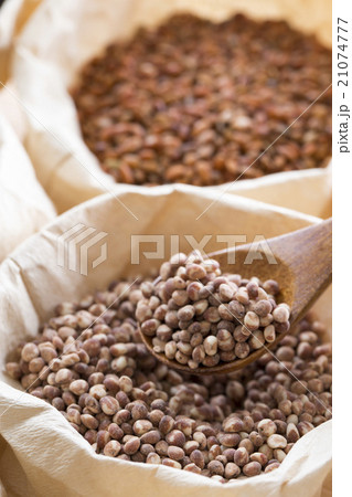 たかきび 21074777
