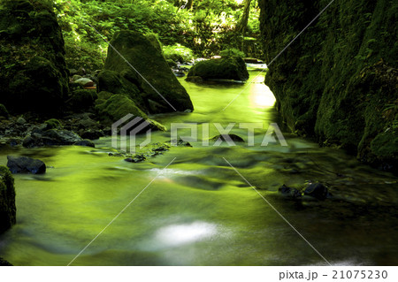 緑と水風景 21075230