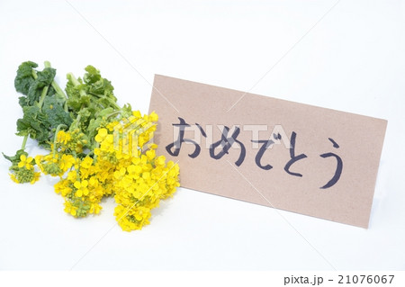 菜の花とメッセージカード 菜の花とメッセージカード 21076067