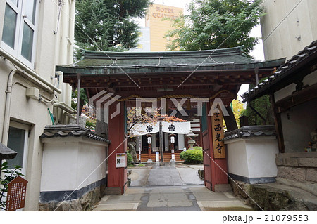 善光寺七福神(一番西光寺の御門)寿老人 善光寺七福神(一番西光寺の御門)寿老人 21079553