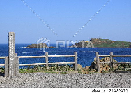 初夏の礼文島　スコトン岬からトド島を望む 21080036