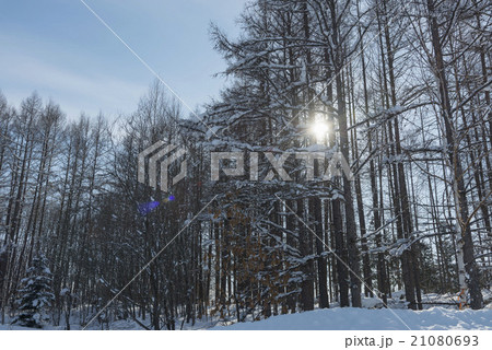 雪景色 21080693