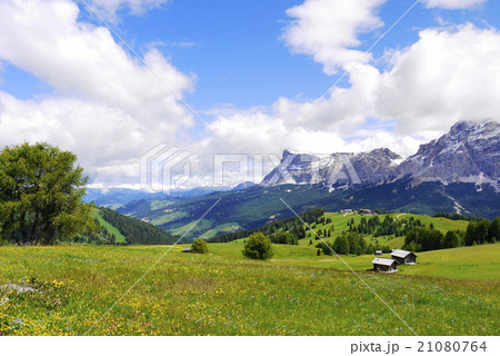 アルタ・バディア　alta　badia 21080764