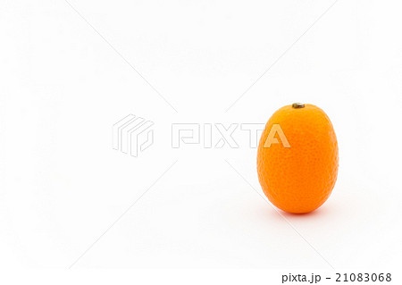 キンカン:Kumquat キンカン:Kumquat 21083068