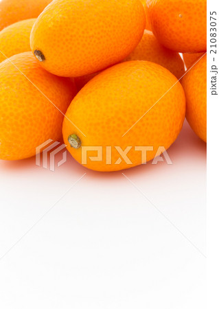 キンカン:Kumquat 21083075