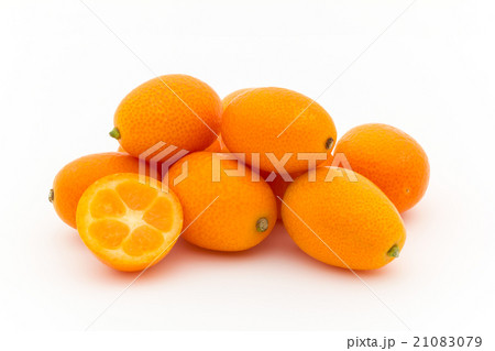 キンカン:Kumquat キンカン:Kumquat 21083079