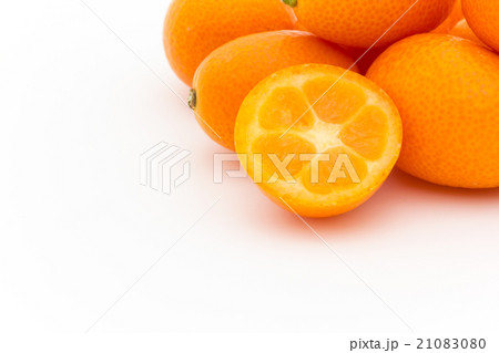 キンカン:Kumquat キンカン:Kumquat 21083080
