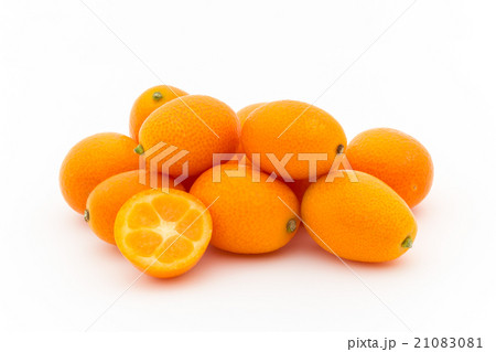 キンカン:Kumquat 21083081