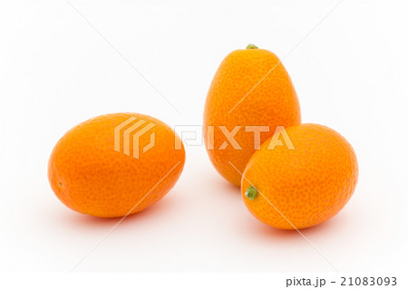 キンカン:Kumquat 21083093