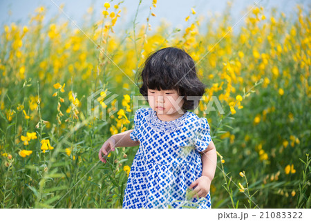 Cute Asian girl in yellow sunhemp flower field Cute Asian girl in yellow sunhemp flower field 21083322