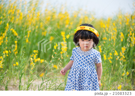 Cute Asian girl in yellow sunhemp flower field 21083323
