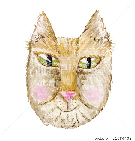 Watercolor Cat Illustration 21084408