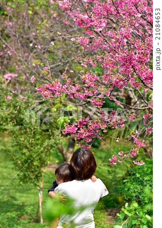 親子で幸せなお花見 21084653