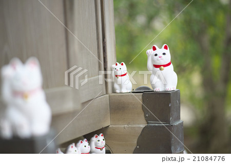 招き猫 21084776