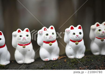 招き猫 21084780