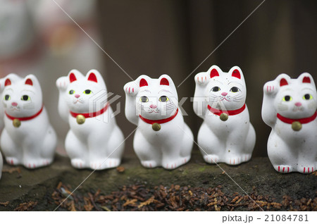 招き猫 21084781