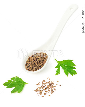Dried seeds of cumin Dried seeds of cumin 21084999