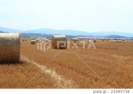 czech autumn field 21085738