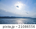 島 21086556