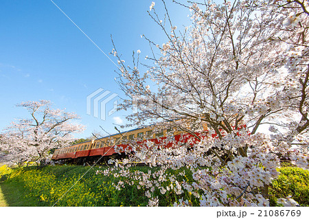 小湊鉄道　飯給駅 21086769