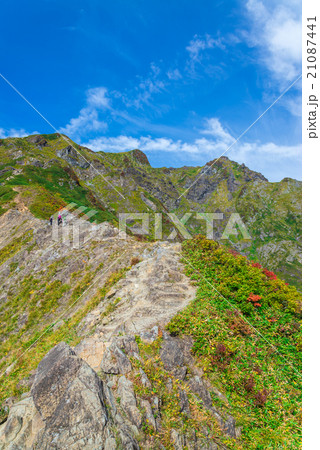 西黒尾根から見上げる谷川岳 21087441