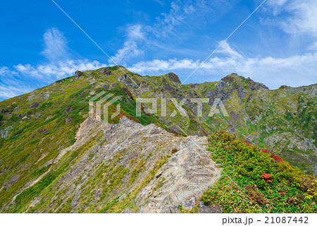 秋の谷川岳稜線 21087442