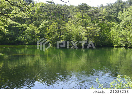 裏磐梯・五色沼(柳沼)/福島県 北塩原村 裏磐梯・五色沼(柳沼)/福島県 北塩原村 21088258