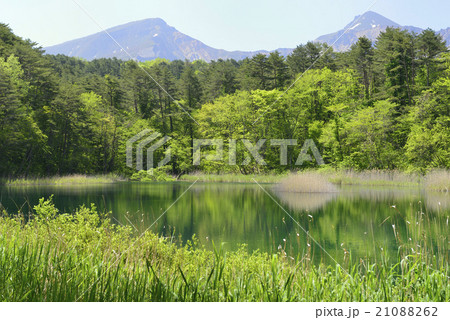 裏磐梯・五色沼(るり沼)/福島県 北塩原村 裏磐梯・五色沼(るり沼)/福島県 北塩原村 21088262