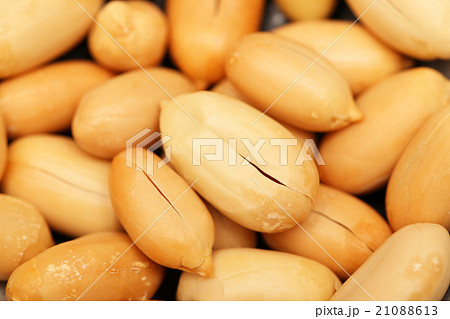 ピーナッツ 21088613