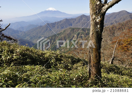 竜ヶ馬場から望む富士山と西丹沢 竜ヶ馬場から望む富士山と西丹沢 21088681