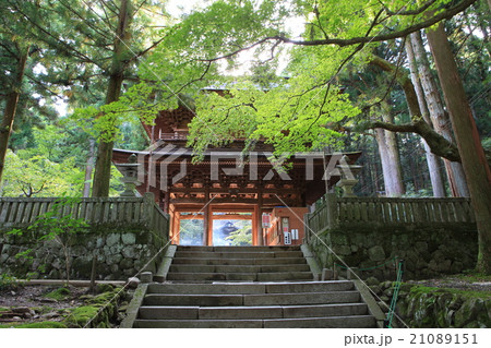 光前寺　三門 21089151