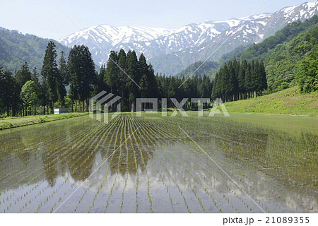 飯豊の里山風景／山形県　小国町 21089355