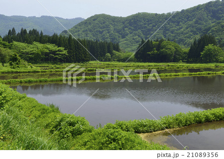 飯豊の里山風景／山形県　小国町 21089356