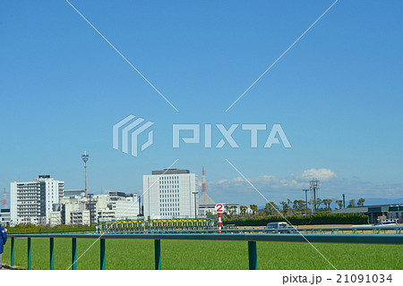 快晴の競馬場 21091034