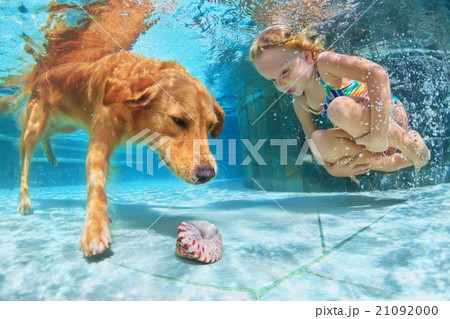 Child with dog dive underwater in swimming pool 21092000
