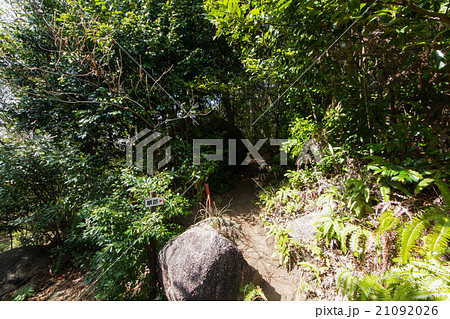 高知県土佐清水市　唐人駄場遺跡　唐人石への遊歩道 21092026