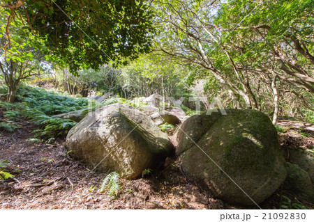 高知県土佐清水市 唐人駄場遺跡『東のサークル』 高知県土佐清水市 唐人駄場遺跡『東のサークル』 21092830