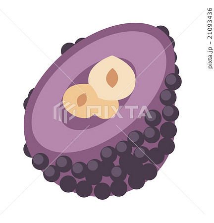 Asia  sweets traditional arabic food isolated on 21093436