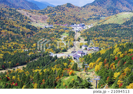 秋の横手山山麓 秋の横手山山麓 21094513