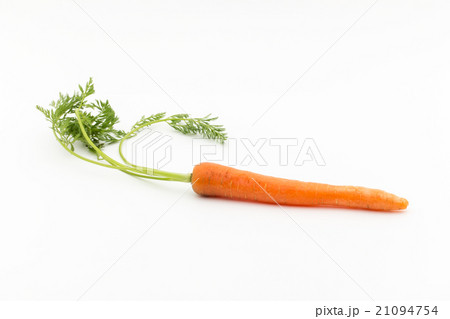 一本でもニンジン Carrotの写真素材