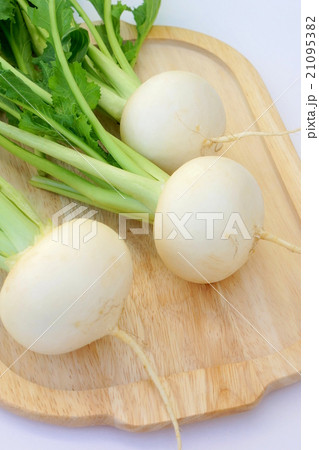 こかぶ こかぶ 21095382